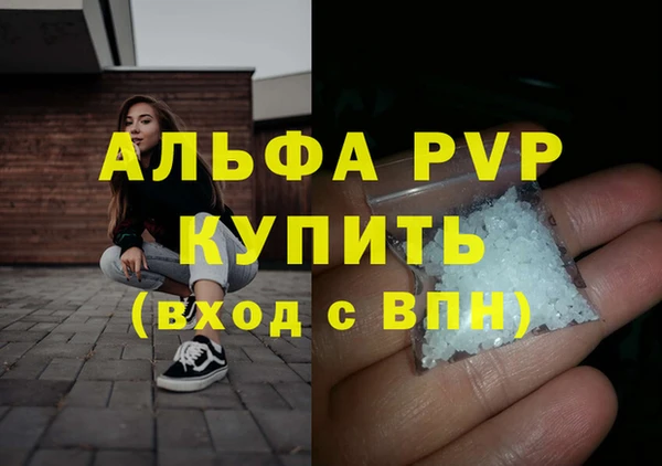 твердый Михайлов
