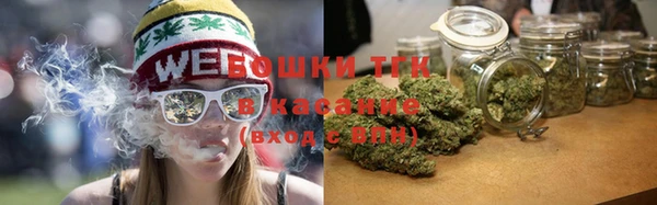 твердый Михайлов