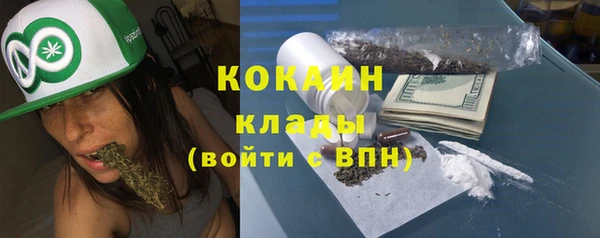 твердый Михайлов