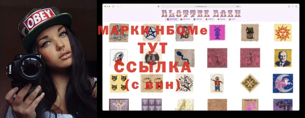 твердый Михайлов