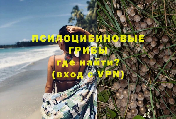 твердый Михайлов