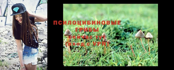 твердый Михайлов
