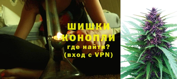 твердый Михайлов