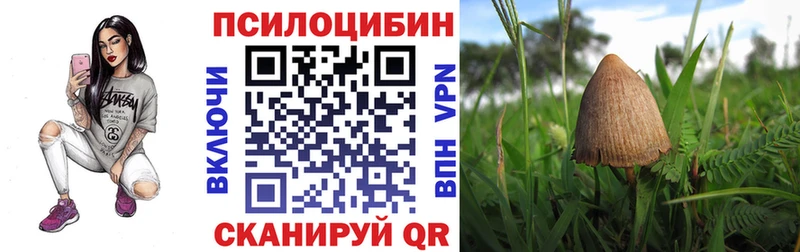 Купить закладки  Салаир  Галлюциногенные грибы мухоморы 